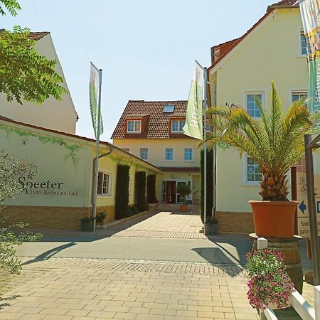 Hotel Speeter Weisenheim am Berg Exterior foto